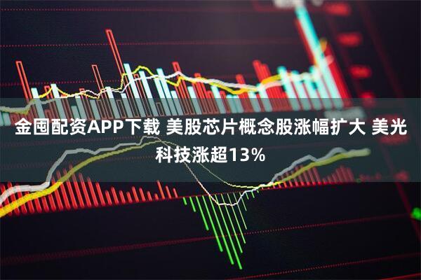 金囤配资APP下载 美股芯片概念股涨幅扩大 美光科技涨超13%