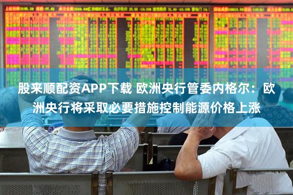 股来顺配资APP下载 欧洲央行管委内格尔：欧洲央行将采取必要措施控制能源价格上涨