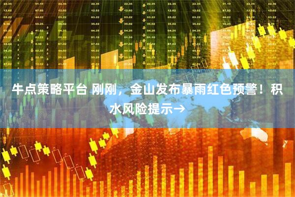 牛点策略平台 刚刚，金山发布暴雨红色预警！积水风险提示→